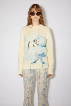 Acne Studios Knitted Jumper