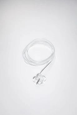 Acne Studios Transparent Flower Buckle Belt