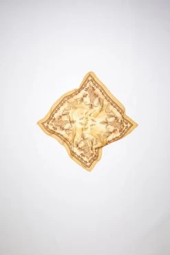 Acne Studios Printed Cashmere Scarf