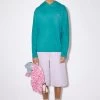 Acne Studios Hooded Sweater -Acne Studios CL0214 CA9 A